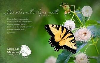 Butterflysmall Roy Lessin Favorite Quotes