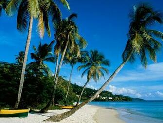 High Quality Grand Anse Beach Grenada