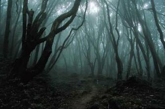 Haunted Forest Graphics Code Comments Pictures