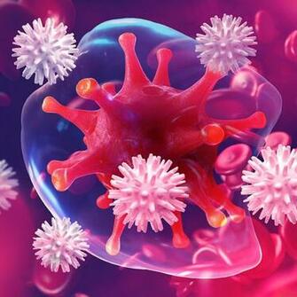 Fundamentals Of Immunology Innate Immunity And B Cell Function