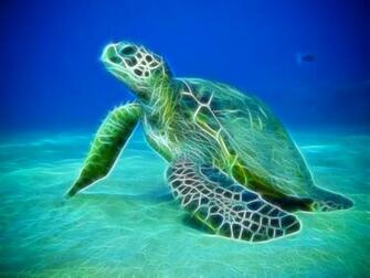 Water Ocean Wallpaper Sea Animals Fractalius