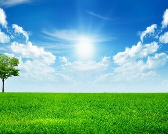 Sunny Bright Day Fondo HD