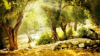 Top Nice Nature Desktop Wallpaper And Background Landscapes