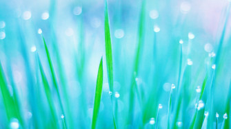 Fresh Pc Background 16hvz Bscb Wpbg Collection