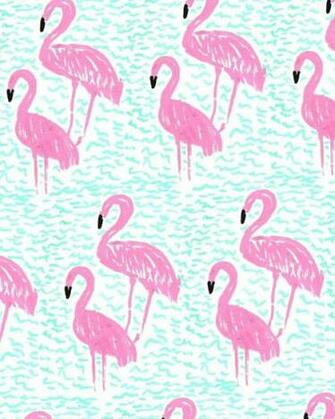 Flamingo Wallpaper