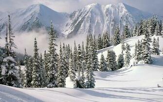 Winter Nature Resolution High Wallpaper