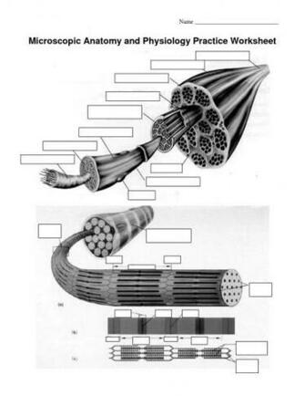 Worksheets HD Photo Wallpaper Collection