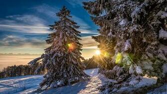 Winter Sunrise Wallpaper