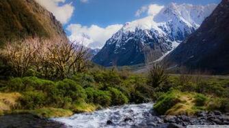 Prachtige Mountain Stream Wallpaper
