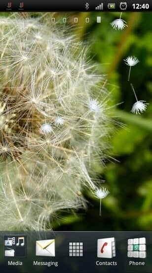Blowing Dandelion Live Wallpaper For Your Android Phone