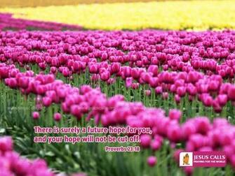 Right Click On This Image And Select Set As W Allpaper Or