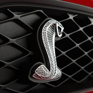 Cobra Logo iPad Wallpaper