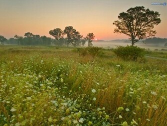 Nature Mother Wallpaper