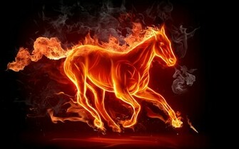 Horse Pictures Fantasy Wallpaper Wallpapere Org