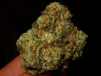 Moonlight Og Kush Nba All Star HD Wallpaper