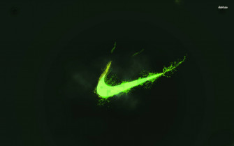 Top Neon Green Aesthetic Wallpaper Full HD 4k To Use