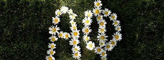 Welcome To Alpha Phi Cover Photos