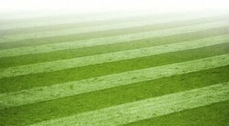 Sports Powerpoint Background Wallpaper Ppt