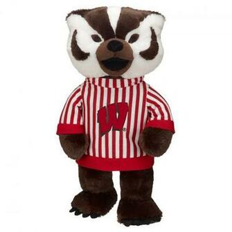 Bucky Badger Build A Bear