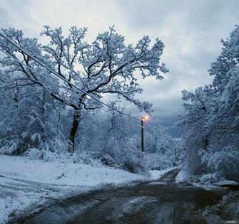 Snowscape By Damir G Martin