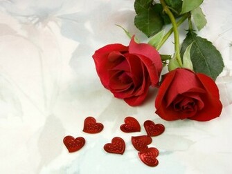 Wallpaper HD Rose Two Red Roses For