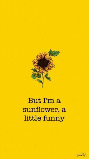 The Story Of Sunflower Sierra Burgess Has Just Gone Viral