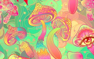 Magic Mushrooms The Next Big Thing In Beverages Drum