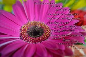 Kjv Bible Wallpaper Romans