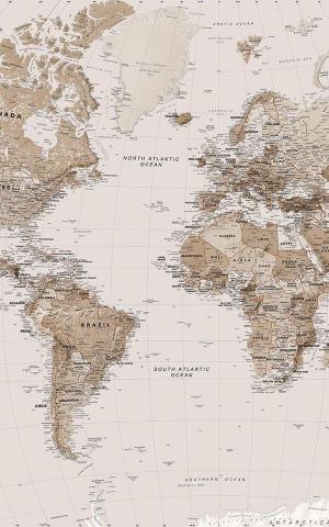 Sepia Earth Tone World Map Wallpaper Mural Hovia Uk