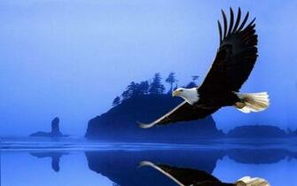 Eagle Wallpaper
