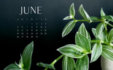 Able Calendars For Plant Lovers Desktop Mobile