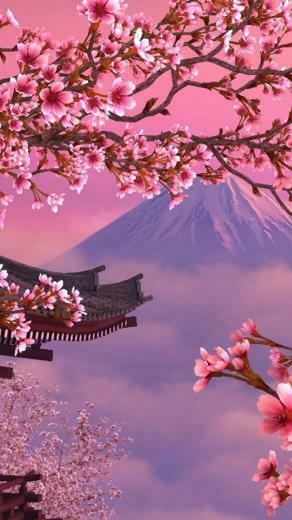 iPhone Wallpaper Cherry Blossom Area HD