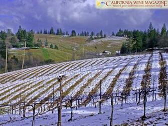 California Wine Magazine Wallpaper
