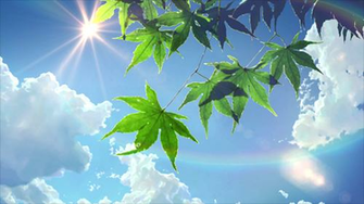 Of Summer Rays Sky Nature Background Wallpaper On Desktop Nexus