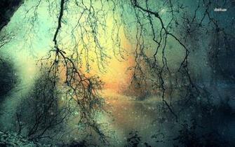 Snowy Forest Wallpaper Nature
