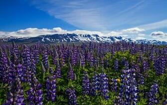Iceland Wallpaper Best