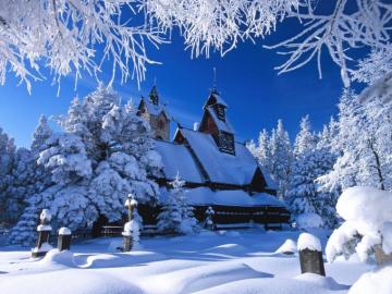 Winter Nature Wallpaper On