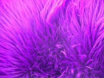 Purple Fur Wallpaper