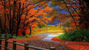 Autumn Scenes Desktop Wallpaper Top
