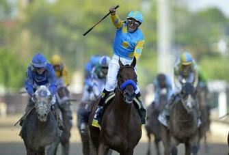 Derby American Pharoah Pc Android iPhone And iPad Wallpaper