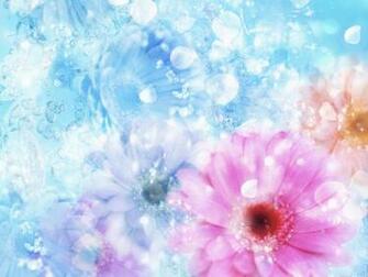 Pink Daisy Wallpaper Picture