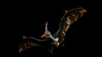 Primal Carnage Fantasy Dinosaur U Wallpaper