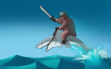 Bear Riding A Shark Wallpaper Funny