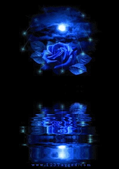 Blue Roses Tagged Comments Graphics Glitters