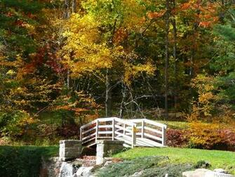 Covered Bridge In Autumn Dark Brown Hairs