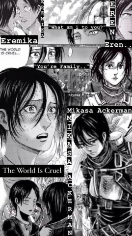 Mikasa Ackerman Panel Wallpaper Paneling