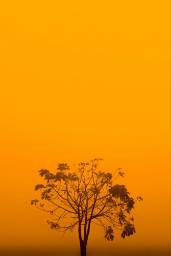 Yellow iPhone Aesthetic Wallpaper