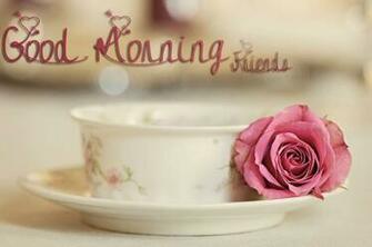 Have A Nice Day Good Morning Wallpaper HD