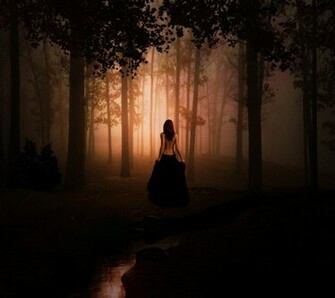 Scary Woods Background Wallpaper HD
