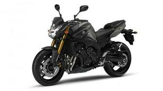 Yamaha Fz8 Showing Jpg